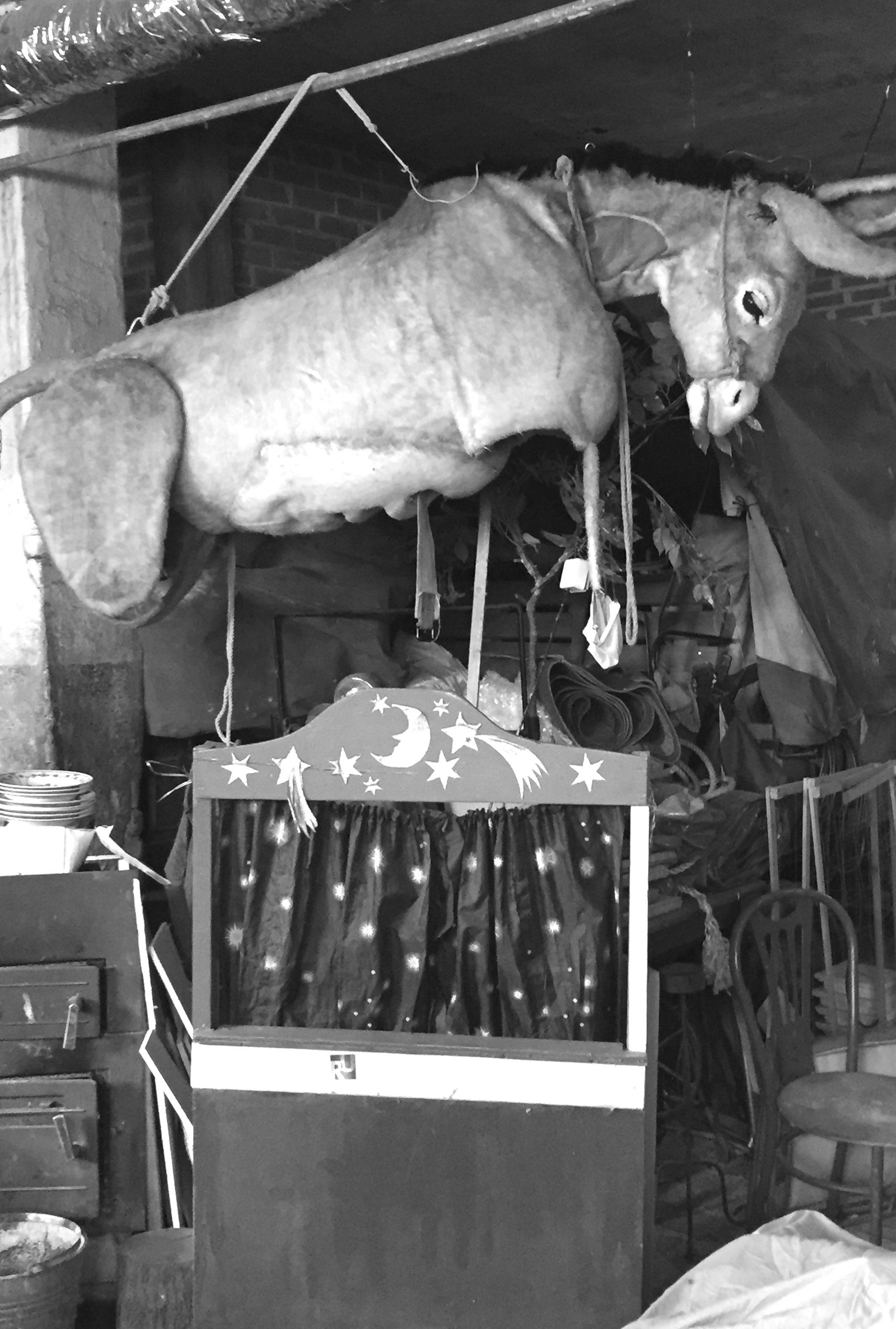 Ungekämmter Esel mit Puppentheater