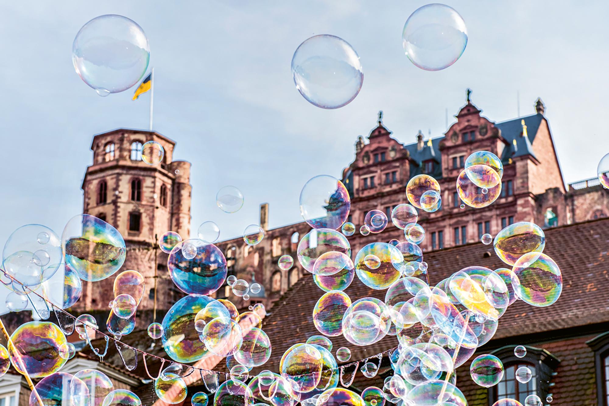 Das Heidelberger Schloss