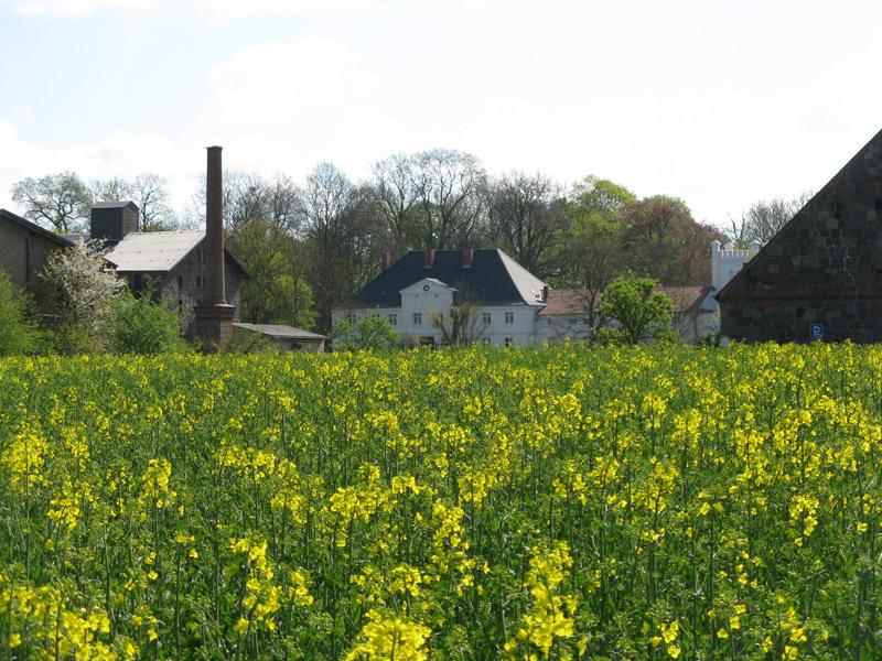 Blick auf das sanierte Gutshaus