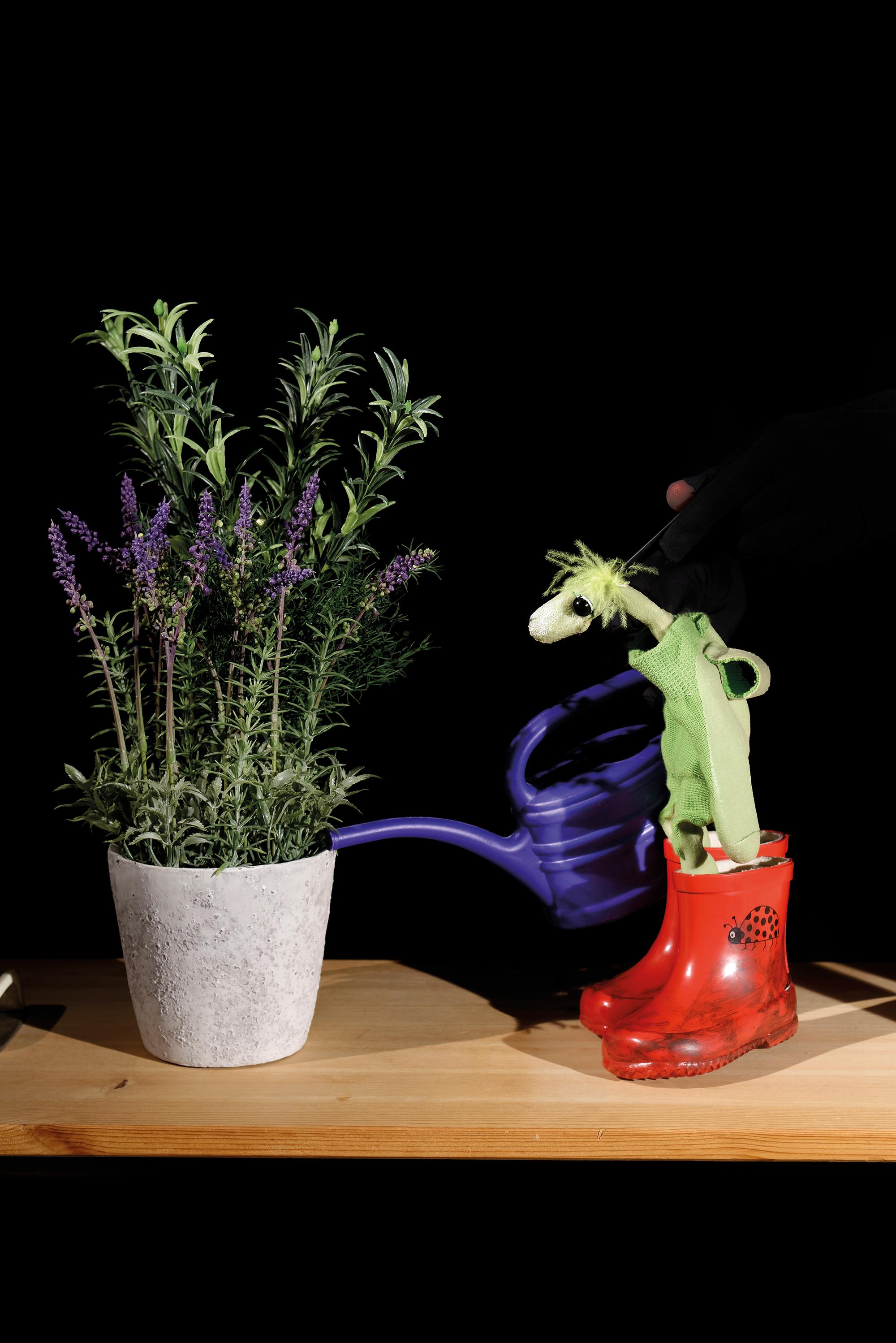 Figurentheater Hattenkofer, Als der kleine Koriander kam.