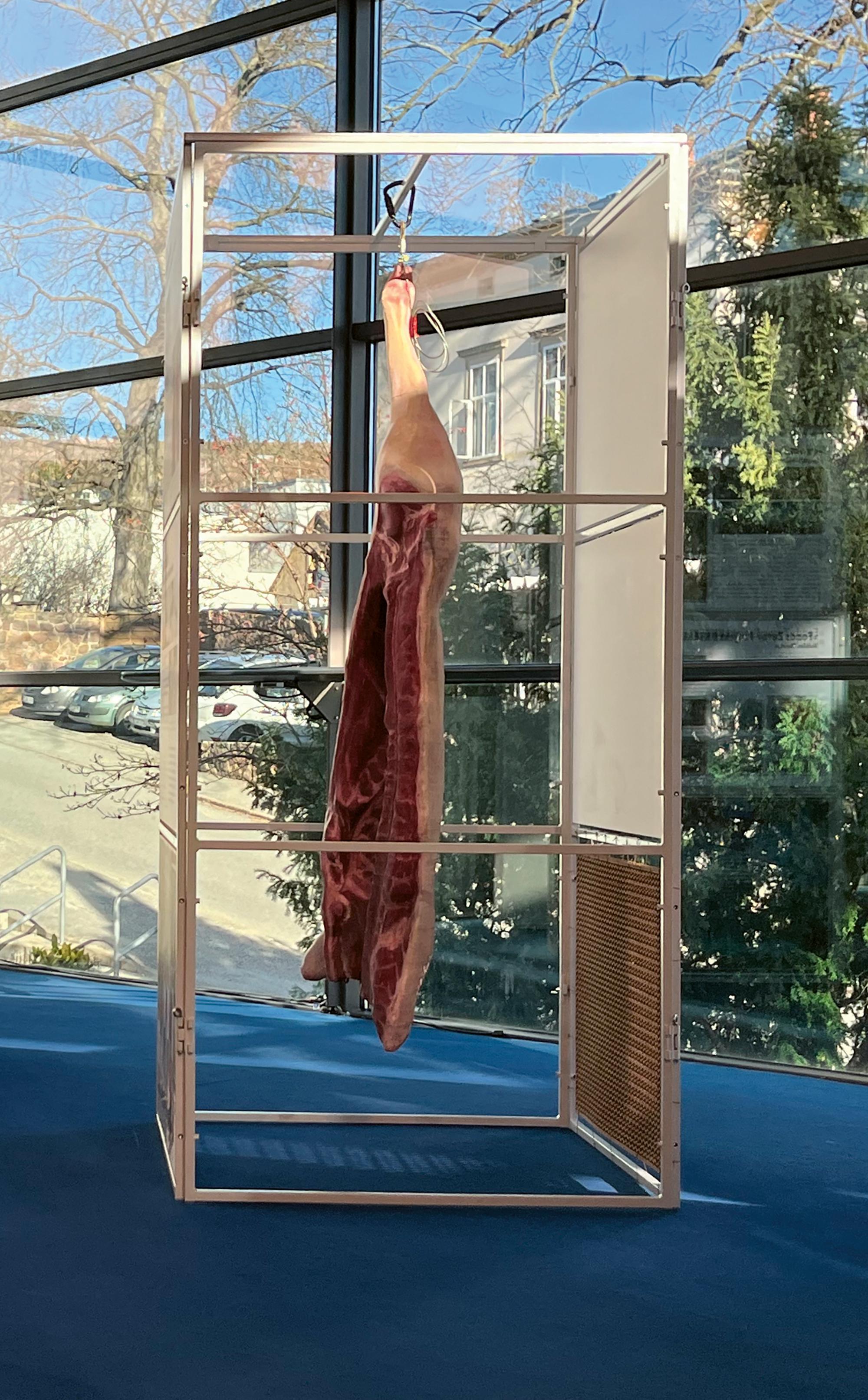 Vegane Schweinehälfte, Radebeul, 2024.