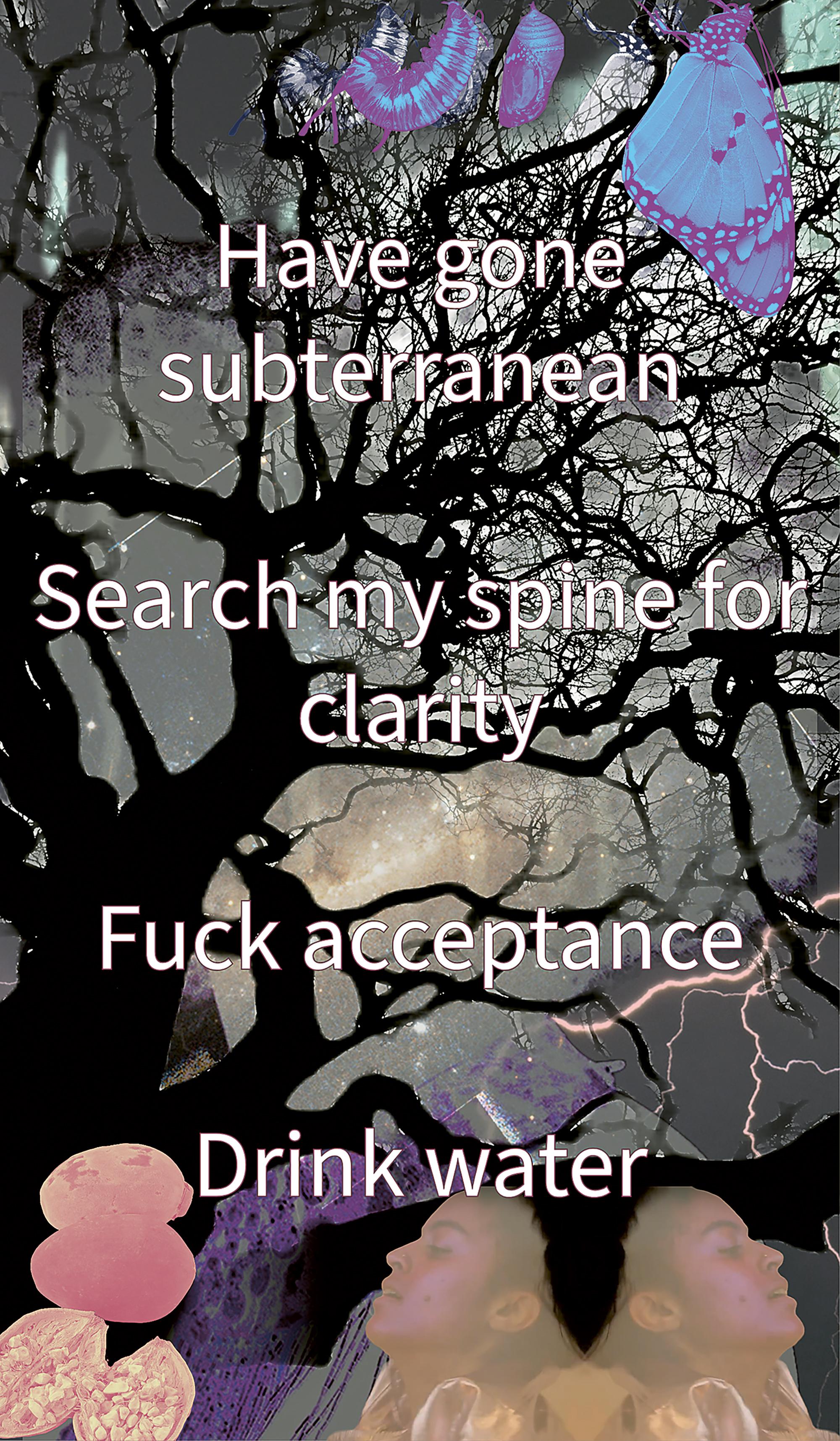A short poem is typed out in bold white font. The letters loom large over a complicated background of digitally collaged images. The furthest background layer is a sky forked with lightning. Next, a bleached, misty image of raindrops running down glass. On top of that is an archival poster image from one of Alexandrina’s Afrofuturist works Bounty Bars and Oreo Cookies (2015–2016), where her silhouette has been replaced with a funneling galaxy of stars. Her afro has purple-tinged edges. Dark, sprawling tree branches are laid on top of this alongside furry baobab seed pods – one of which has been broken open to reveal its seeds inside. All the seed pods have pink colouring applied in Photoshop. The images most in the foreground are of repeated caterpillar, cocoon, and butterfly photographs in the top right corner; in shades of inky blue and fluorescent lilac. And the bottom right-hand corner is an archival film still from Alexandrina’s work Embers (2016–2019). In this image, Alexandrina is double back-to-back with herself. Her face is painted a vibrant magenta, and she is wearing a rose-gold metallic fake leather jacket. She is slightly arching her neck, her gaze is downwards, and her lips are slightly apart. The poem reads: Have gone subterranean Search my spine for clarity Fuck acceptance Drink water