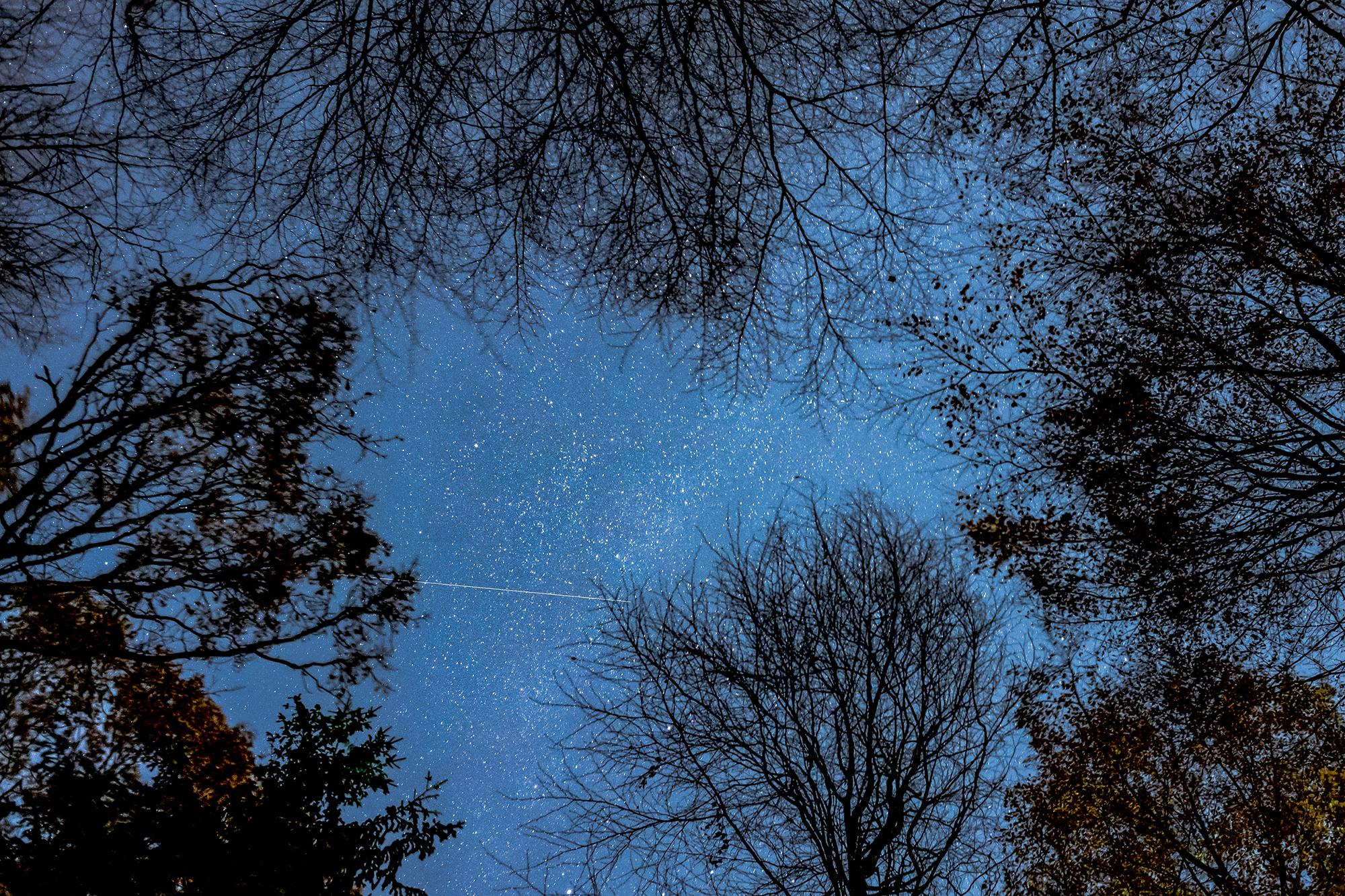 Foto By Siebbi - Twinkle Twinkle (15.11.2018), CC BY-SA 3.0, https://commons.wikimedia.org/w/index.php?curid=74942010