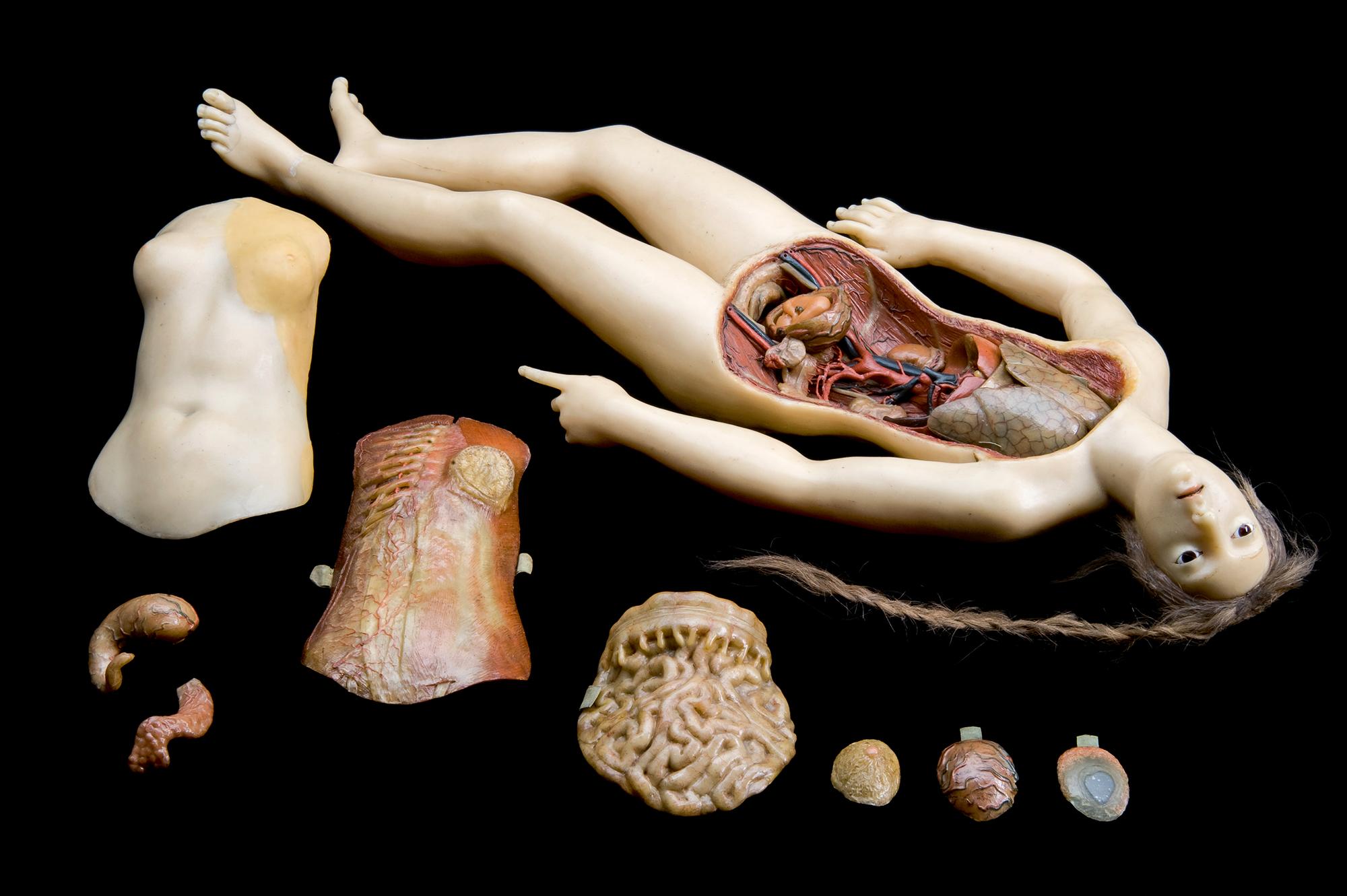 Anatomische Venus. Wachsfigur einer liegenden Frau, Florenz, von Clemente Susini