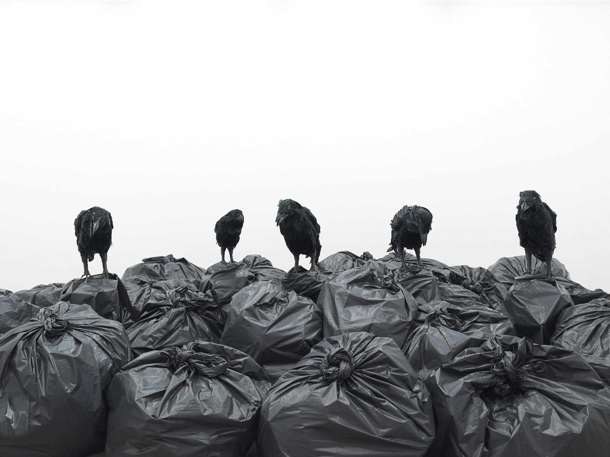 Installation „Archiv der Sorgen“ vom Künstlerinnenduo „Fort“