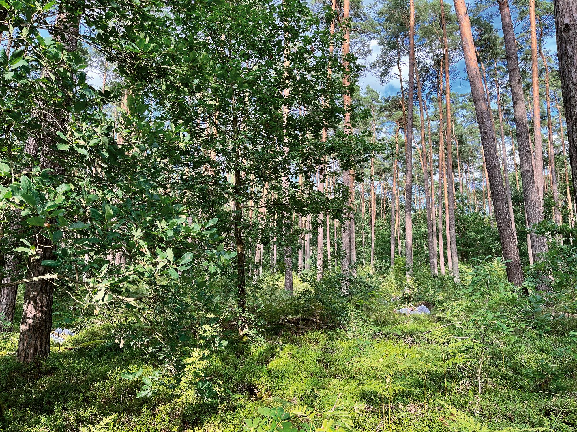 Ari Benjamin Meyers’ UNLESS (Shared Landscapes), 2023.