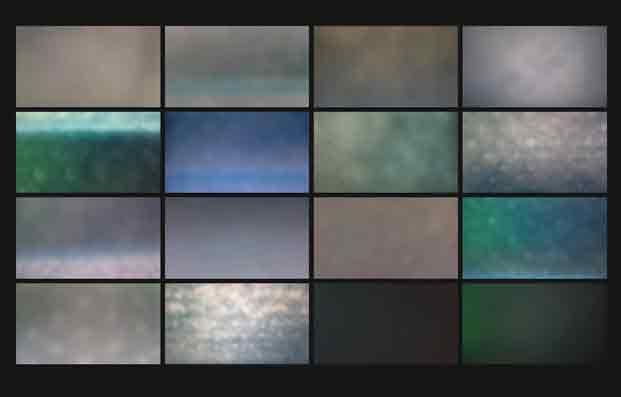 Reading Virus (The Folk Memory Project, Künstlerhaus Mousonturm Frankfurt, 18. Dezember 2021, Online-Performance) Screenshots der Autorin.