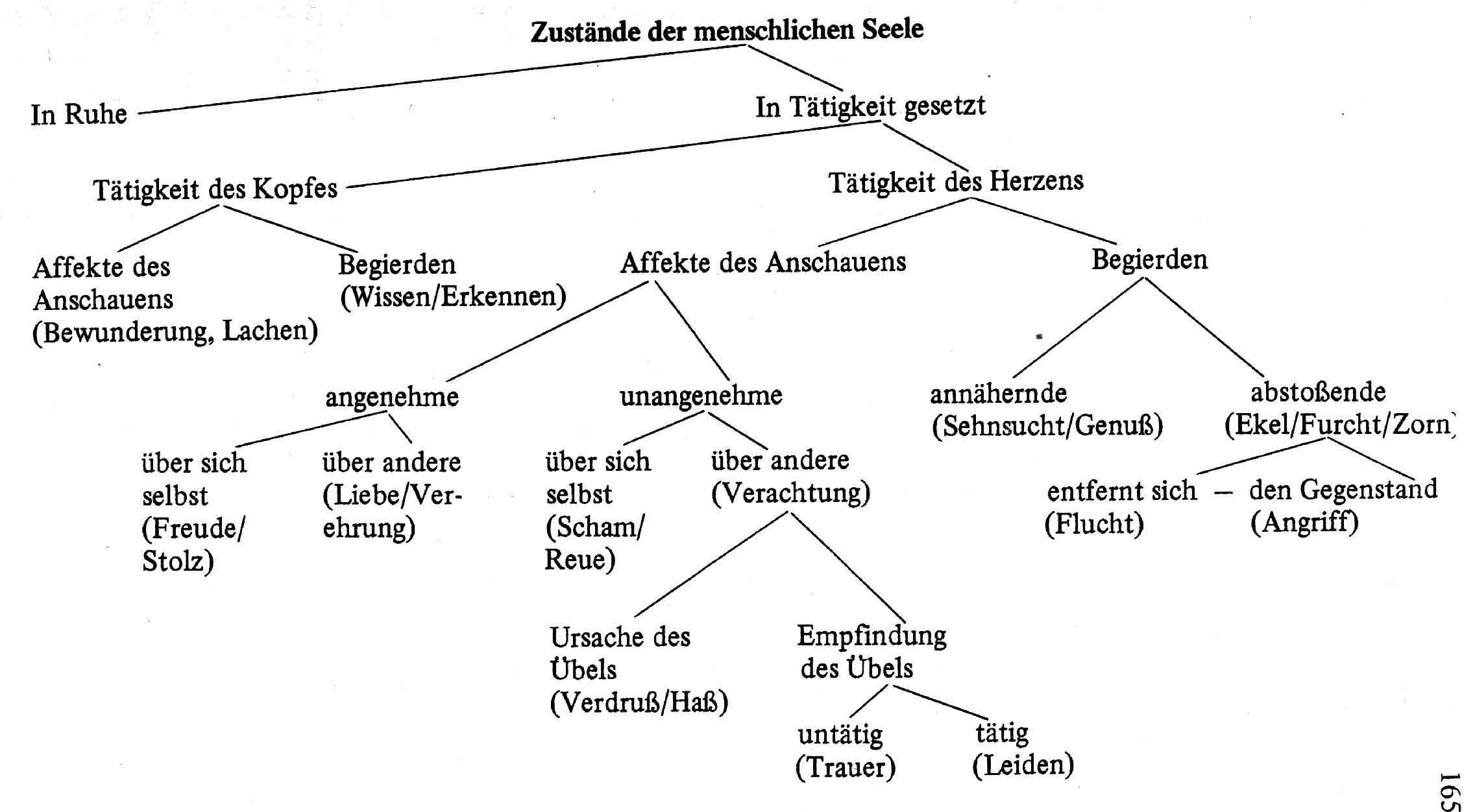 Abbildung 4: Klassifikation der Zustände der menschlichen Seele nach J. J. Engel. Quelle: Fischer-Lichte: Semiotik des Theaters, Bd. 2, S. 165