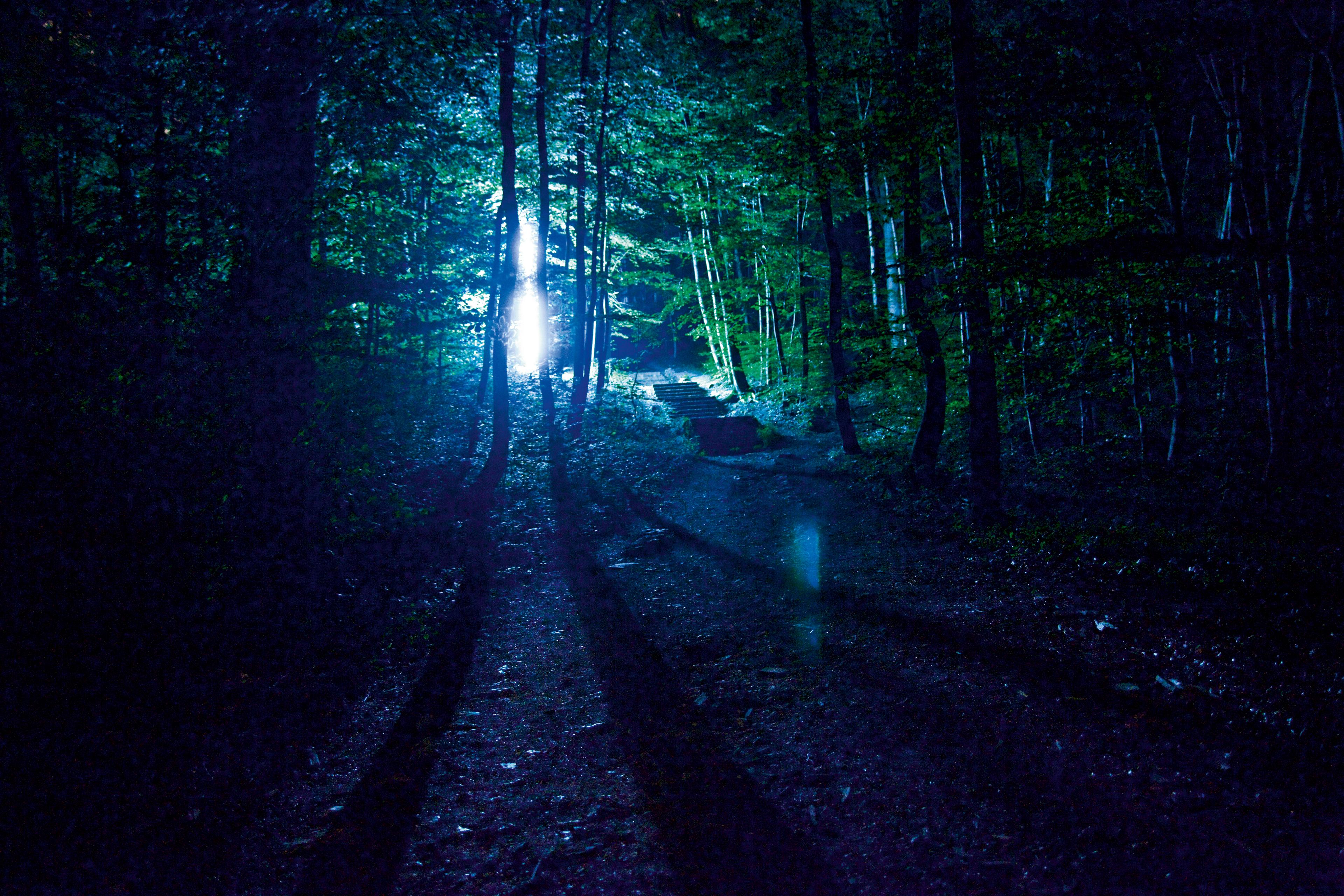 „The Light Forest“ von Mette Ingvartsen beim SZENE Salzburg-Festival 2010.