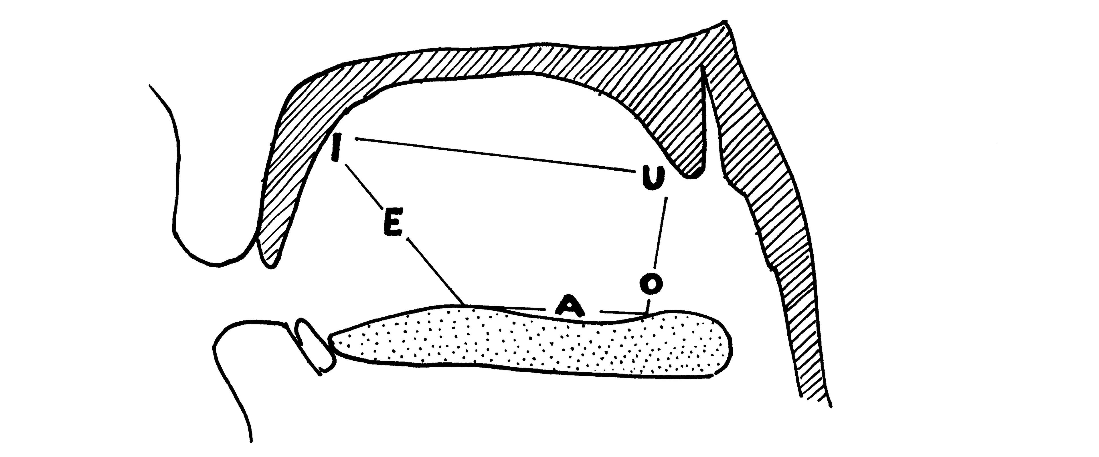 Abb. 18 Vokalviereck