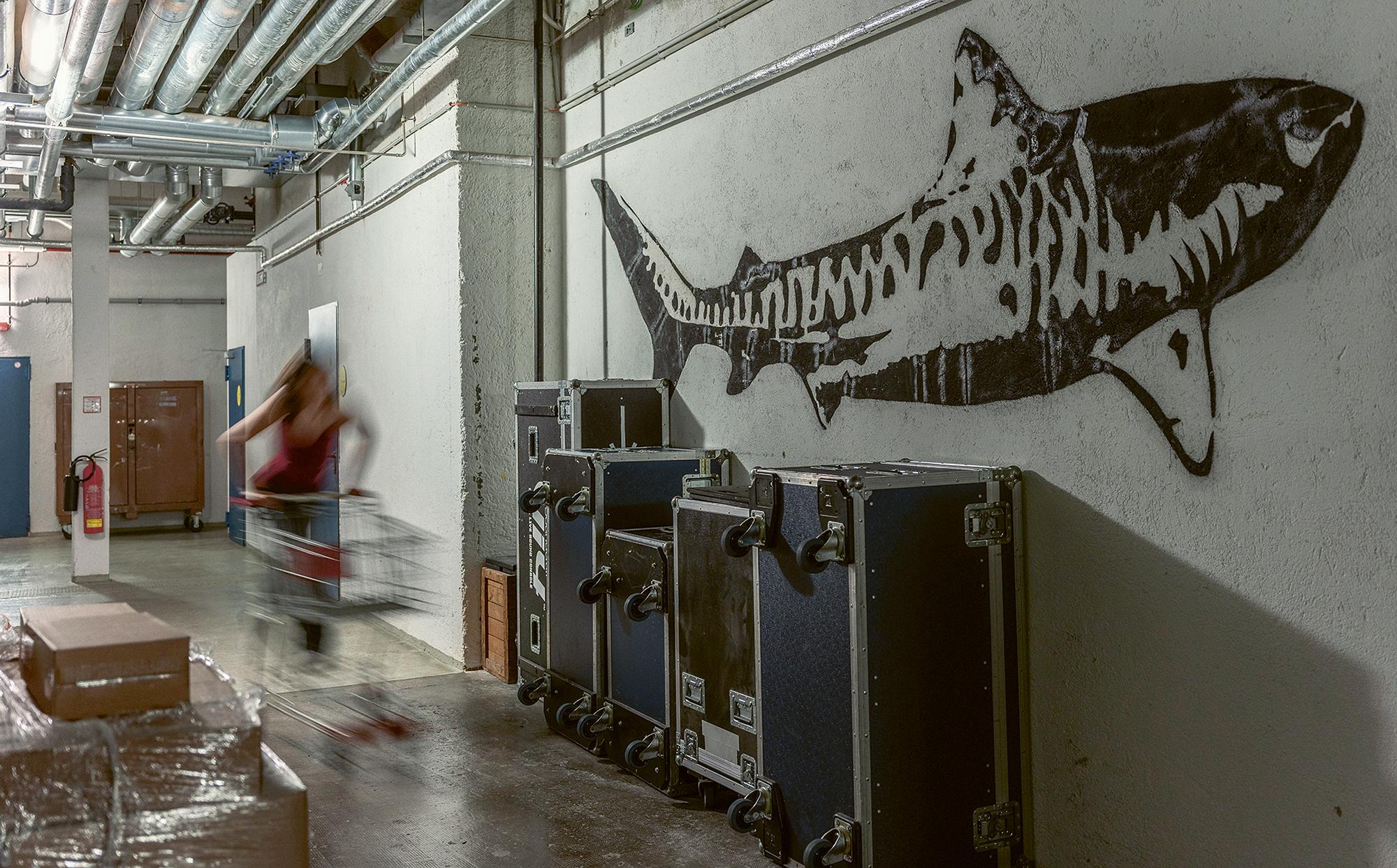 Hai-Graffiti im Kellergang aus der Produktion Minus Odysseus